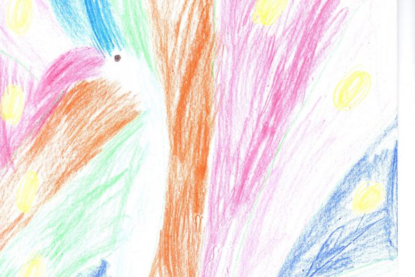 Sofie Hoving, 6 jaar
Potlood op papier 29 x 21 cm.

"Ik ga de 500 Euro gebruiken voor de Montessorischool"